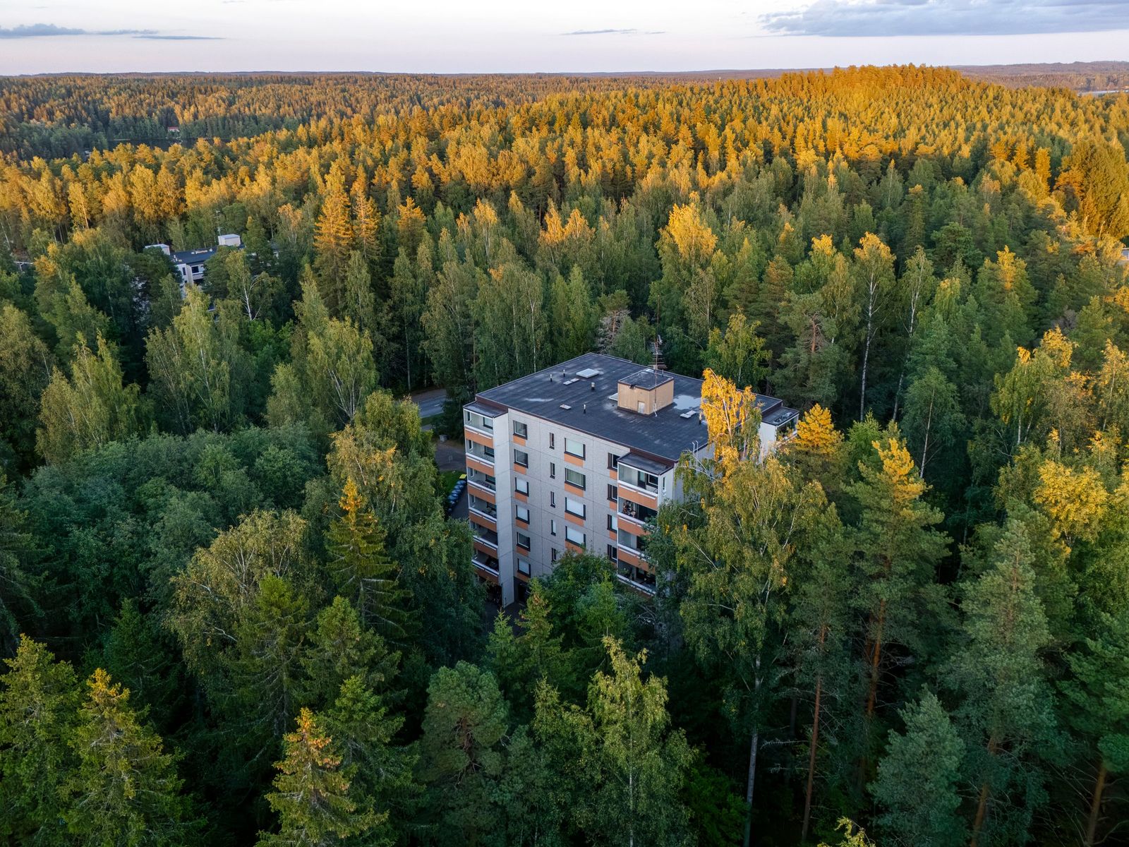 Hämeenlinnan Leppälintu