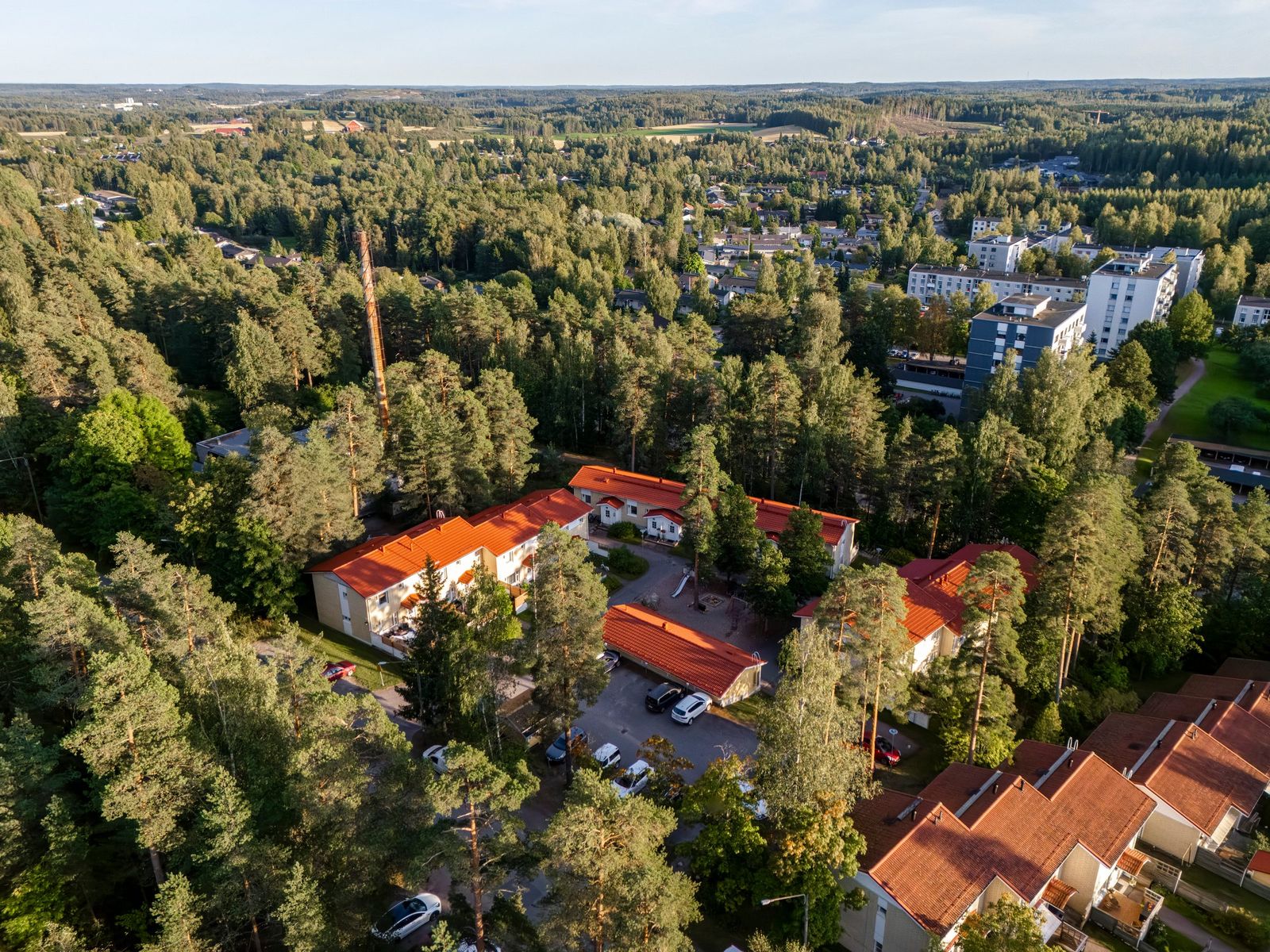 Hollolan Pihavaahtera
