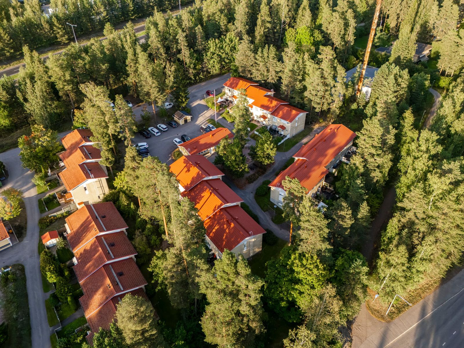 Hollolan Pihavaahtera