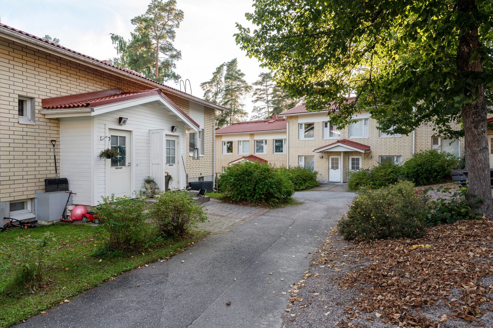 Hollolan Pihavaahtera